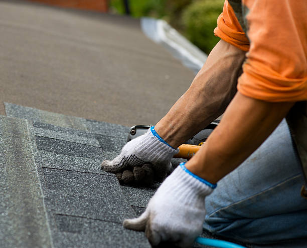 Roof Gutter Cleaning in Kingsville, MD